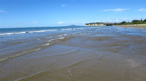 Visit Long Bay Regional Park in Long Bay | Expedia