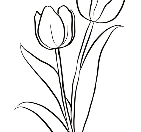 Download High Quality black and white flower clipart tulip Transparent PNG Images - Art Prim ...