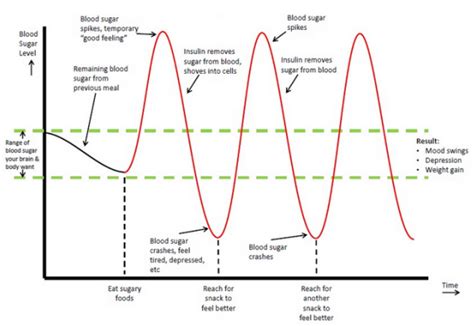 Control of Blood Glucose Concentration - Blood Glucose Homeostasis ...