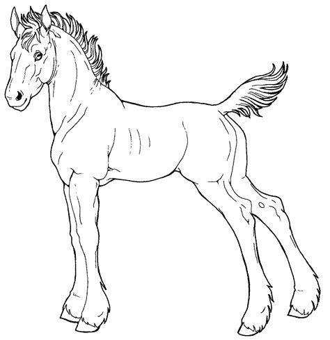 Free Line Art-Draft Foal by AppleHunter on DeviantArt