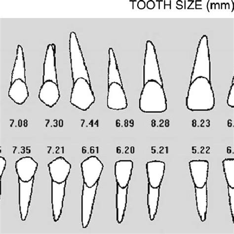 The results for mesiodistal tooth size using the digital method ...