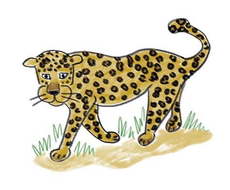 Leopard Drawing For Kids