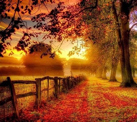 Melinda Matthews on Twitter | Autumn scenery, Autumn landscape, Fall ...