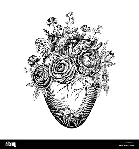 Vintage illustration of heart with flowers in tattoo engraving style. Black and white vector ...