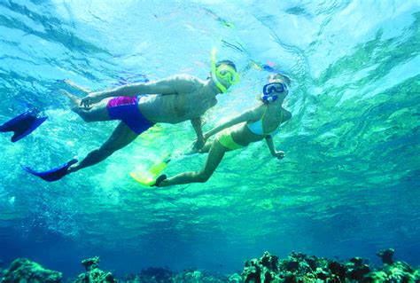 Snorkeling in The Bahamas - Sandy Toes Bahamas