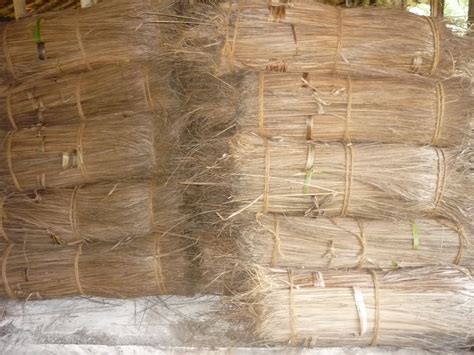 Buy Coconut Broom Stick from Nasaba Exim, India | ID - 269727