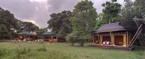 Elephant Pepper Camp - UPDATED 2017 Prices & Lodge Reviews (Kenya/Maasai Mara National Reserve ...