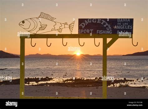 Daggets Campground at sunrise, Bahia de los Angeles, Baja California, Mexico Stock Photo - Alamy