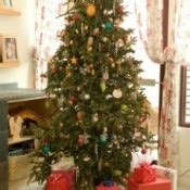 Caring for a Christmas Tree | My Frugal Christmas