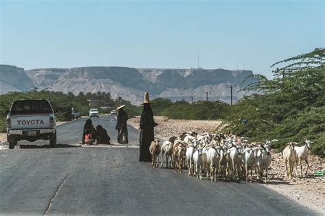 How to travel to Yemen (mainland) in 2025 - Against the Compass