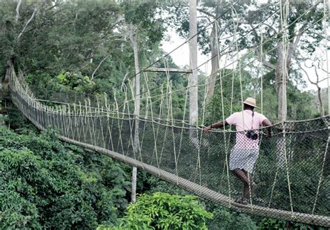 Kakum National Park Canopy Walk