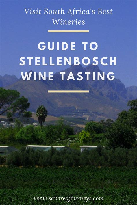 Stellenbosch Wine Tasting Guide: Where to Taste - Savored Journeys