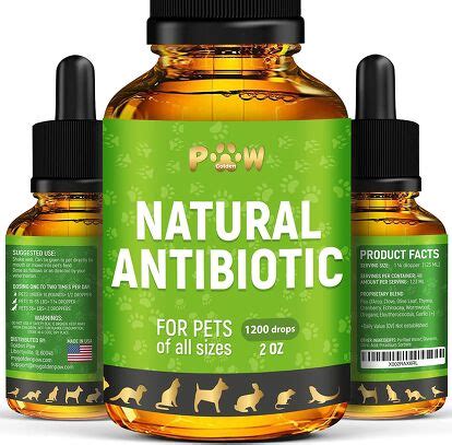 Best Natural Supplements For Dogs | PetGuide