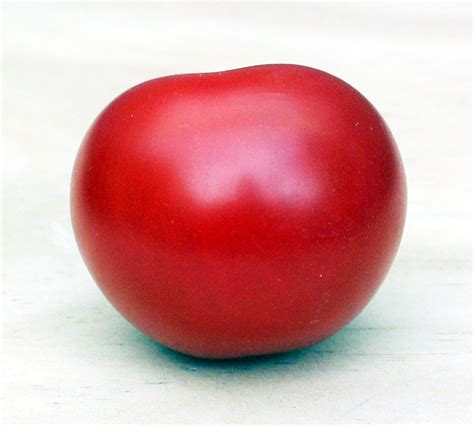File:A Tomato.jpg - Wikipedia