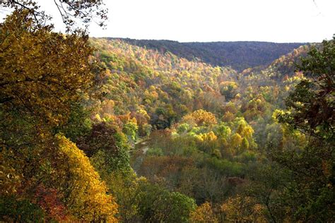 View Fall Foliage in Northeast Ohio