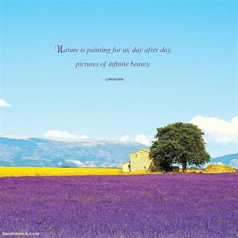 Lavender Quotes For Instagram - Quotes