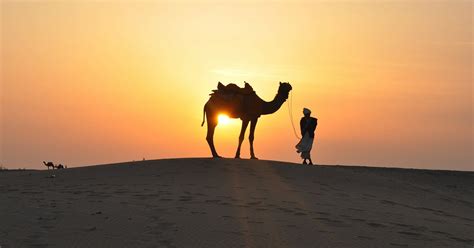 Camel Riding | United Arab Emirates