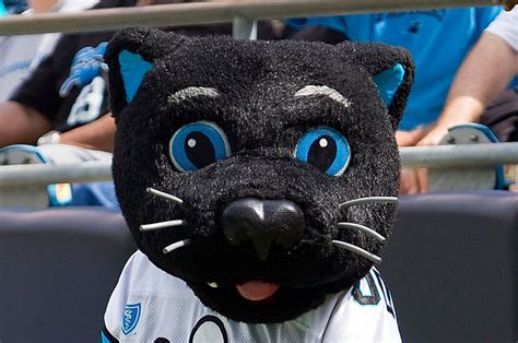 The Carolina Panthers Mascot Is Absolutely Purrfect