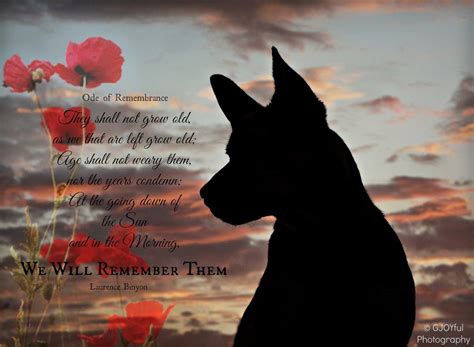 the Ode of Remembrance poem for today, ANZAC day | Anzac day ...