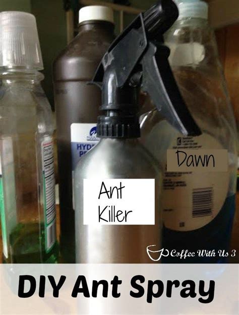 DIY Ant Spray & Ant Repellent | Ant killer diy, Ant spray, Homemade ant killer