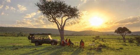 Best African Safari Tours, Packages & Tailored Itineraries | Go2Africa