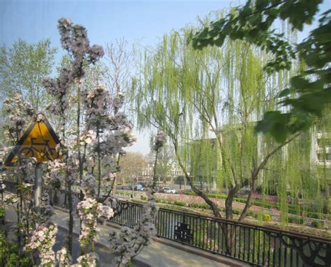 The Palaces of Beijing – Destination Traveller