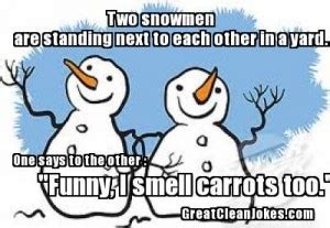 Funny Snowman Meme - Great Clean Jokes