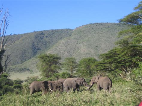 Ngorongoro Crater | Travel Partner Ltd.