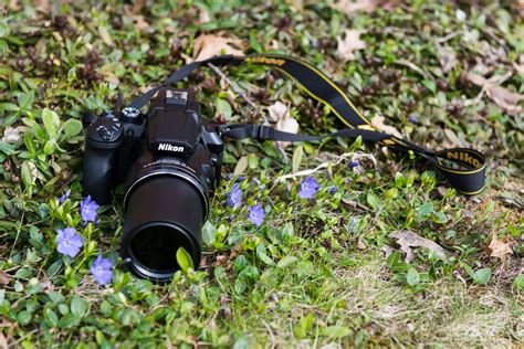 Nikon P950 vs. Nikon P1000: Superzoom Showdown | Digital Trends