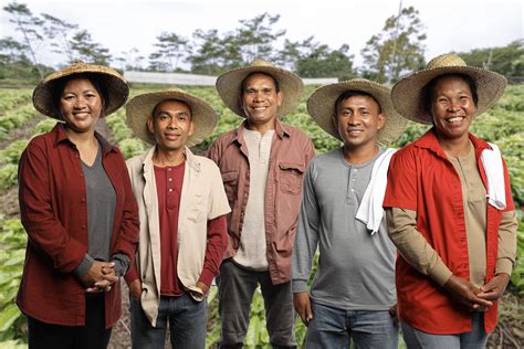 Honoring Filipino coffee farmers | Nestlé Philippines