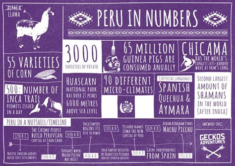Travel infographic - Infographic: Peru in numbers - InfographicNow.com | Your Number One Source ...