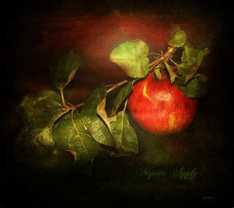 Mystic apple | This beautiful apple I found in the free natu… | Flickr
