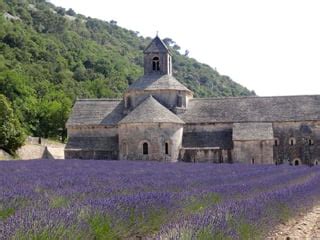 Provence Lavender Tour - a unique tour that explores the off the beaten path beauty, lavender ...