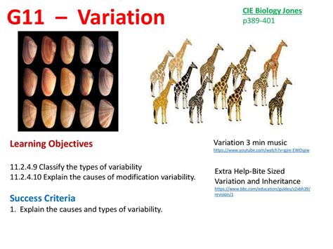 Variation Theory