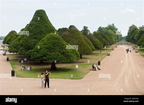 Hampton Court gardens Stock Photo - Alamy