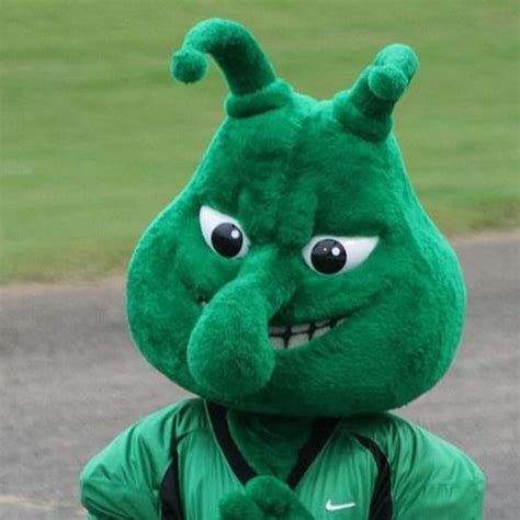 Funny Ncaa Mascots