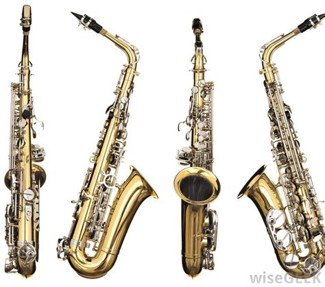 A type of woodwind instrument, saxophones are made of brass and commonly heard in jazz, R&B and ...