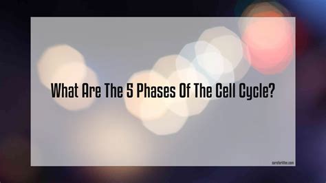 What Are The 5 Phases Of The Cell Cycle 2024