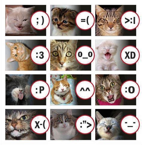 What time is o'clock?: Cat emotions