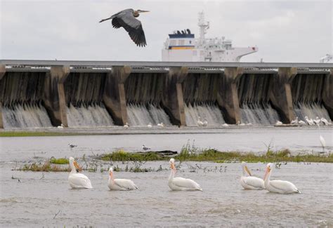 5 things to know about Bonnet Carré Spillway, the Mississippi River's release valve ...