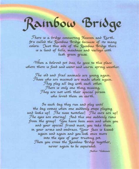 Pin by Cassie Bobo on poems and sayings | Rainbow bridge dog, Rainbow ...