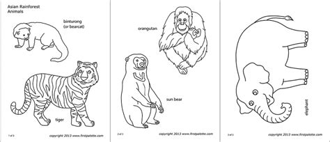 Rainforest Animals Printables For Kids