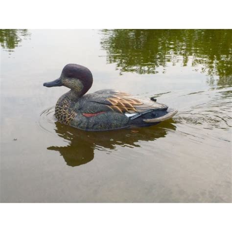 The REAL DeCOY Swimmer Gadwall Drake Duck Decoy | Wing Supply