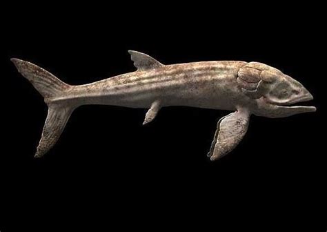 More than 160 million years ago, a massive plankton-trawling fish known as Leedsichthys ...