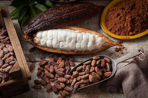 The Top Cocoa Producing Countries In The World - WorldAtlas