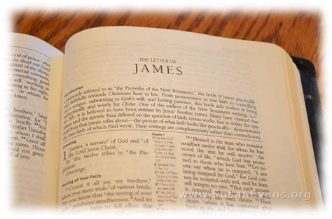 The Book of James and Jesus: Part 3 | antwuan malone