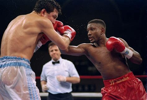 Pernell Whitaker, Champion in Four Boxing Classes, Dies at 55 - The New ...