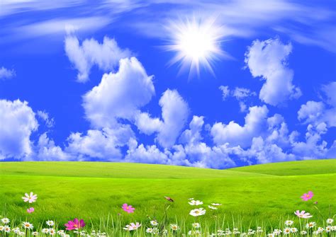 Blue Sky Nature Wallpapers on WallpaperDog