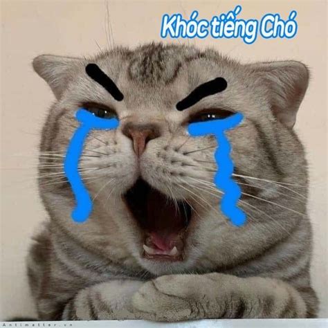 85 Hình Meme Tắm đẹp Nhất - Trường TIểu Học Tiên Phương - Chương Mỹ - Hà Nội