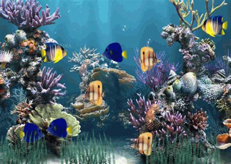 Download Aquarium Animated Wallpaper 1.1.0